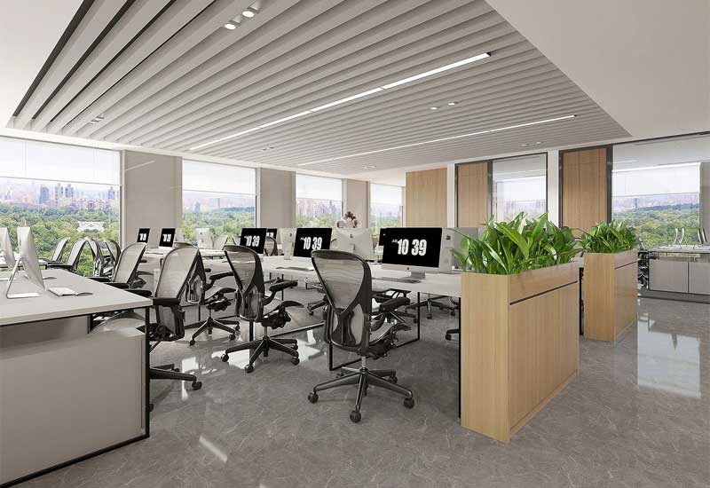 鄭州辦公室裝修設計的綠植種類:耐陰與易養護品種